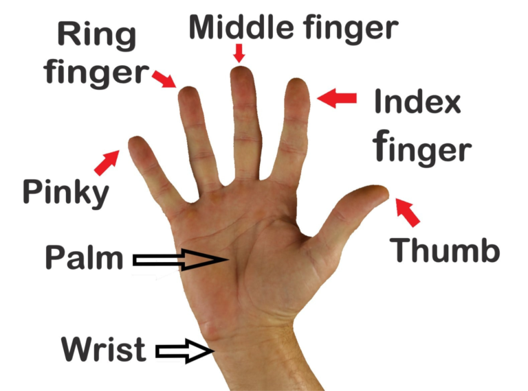 बोट, Hand Fingers